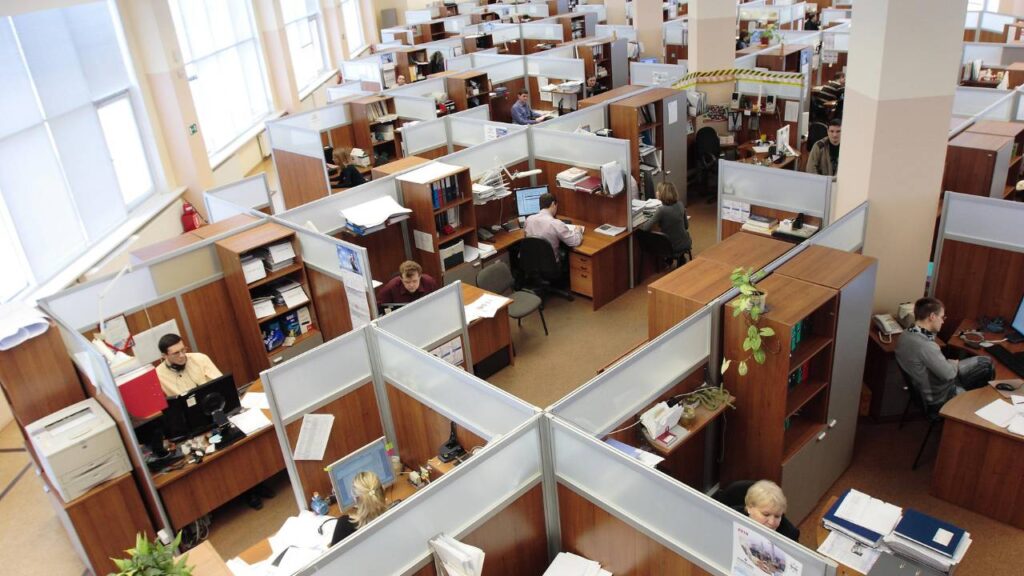 A lot of employees working in the office cubicles