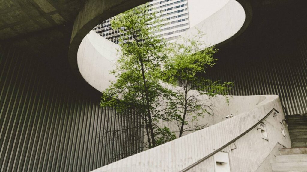A tree growing inside a building made out of concrete